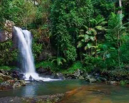 Holiday home Mountain Retreat Scenic Getaway With Bbq Villa Mount Tamborine