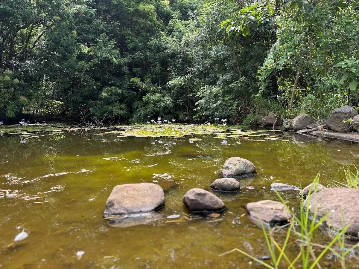 Mountain Retreat Scenic Getaway With Bbq Villa Mount Tamborine 0*,