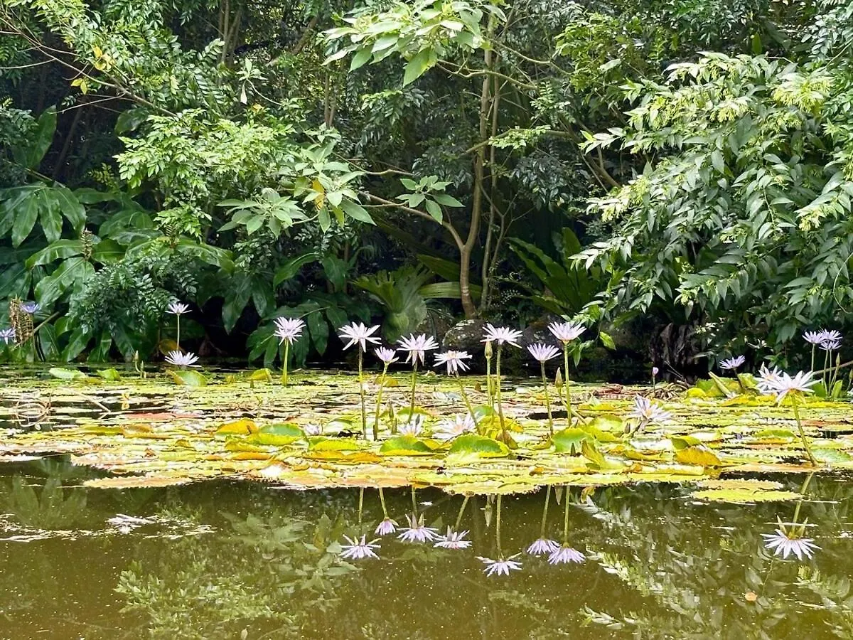 Mountain Retreat Scenic Getaway With Bbq Villa Mount Tamborine 0*,  Australia